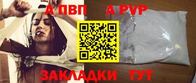 гашик Тверь