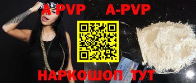 гашик Тверь