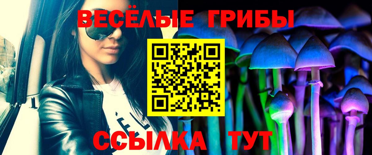 Галлюциногенные грибы прущие грибы Нововоронеж