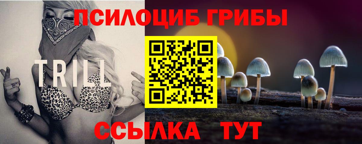 Нововоронеж  Псилоцибиновые грибы ЛСД  Вход с VPN 